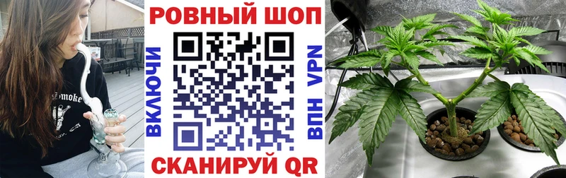 Сколько стоит Юрьев-Польский Псилоцибиновые грибы  Alpha-PVP  АМФ  Меф мяу мяу  ГАШ  Канабис 