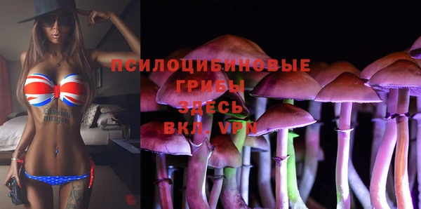 мдма Богородск