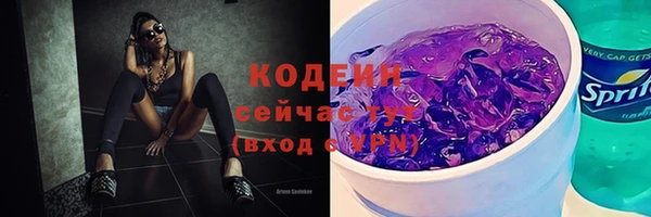 хмурый Богородицк