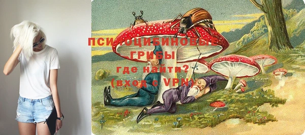 мдма Богородск