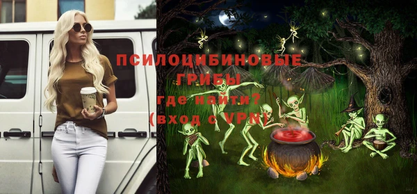 хмурый Богородицк