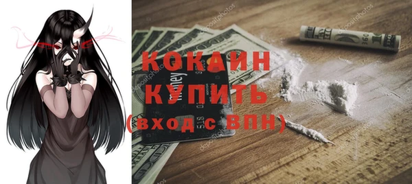 хмурый Богородицк