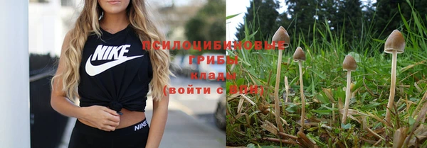 соль курить ск Богданович