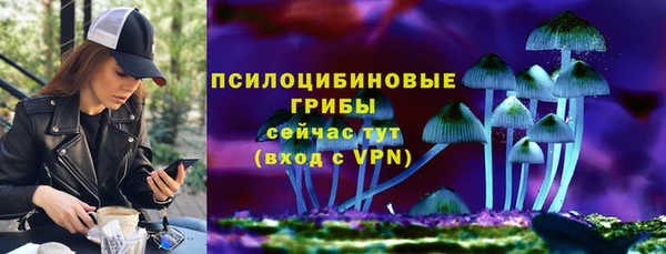 хмурый Богородицк