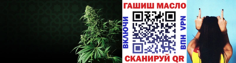 закладки  Юрьев-Польский  ТГК концентрат 